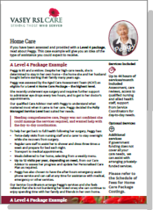 Home Care Package - Level 4 example